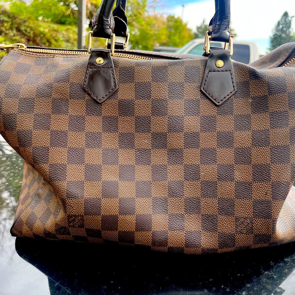 Louis Vuitton Speedy 30 bag